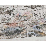 101 Insect Life Stories No.7: Whipstick Cerambycid Beetle 2016