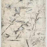 Mayfly hatch with Pale Morning Duns, Blue-winged Olives, Green Drakes and Caddis Flies 2018-22