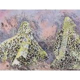 Veiled lady fungae - Eungella 2024