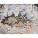 Burrowing Bettong by its warren in the calcrete rocks 2024