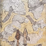 Lustful bettongs returning to Watikinpirri – Newhaven I 2024