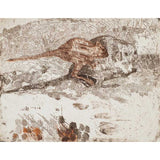 Burrowing Bettongs return to Watikinpirri - Newhaven 2024