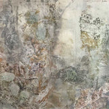 Cryptic mimicry of the Moritz's Leaf-tailed Gecko 2024