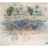 Burrowing Bettongs by their Burrows – Newhaven, NT 2024