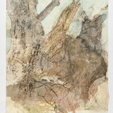 Black Box/Tawny Frogmouth 2026