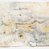 Survey of land with remnant chains of ponds on the edge of Kara Kara National Park 2023