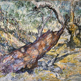 Tracing the sunken rivers of the Wimmera Plains III 2025