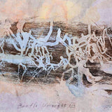 101 Insect Life Stories No.20 Beetle Umwelt IIX 2015
