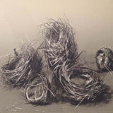 Cluster of five nests 2017