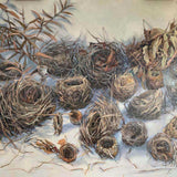 20 nests habitat 100 2020