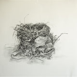 Habitat 127 - one nest 2025