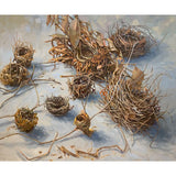 Habitat 131 - nine nests 2025