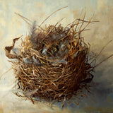 Habitat 137 - one nest 2026