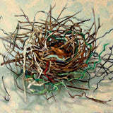 Habitat 138 - one nest with found objects 2026