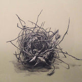 Habitat on stone 2017