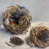 Two nests with seed pod 2020