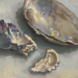 Fresh water mussel and oyster shells 2020