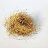 Habitat 110 - grass nest 2021