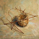 Habitat 116 - Stuart's nest 2024