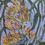 Spearhead lily 2008-23