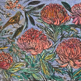 Waratahs with honey eater 2008-23