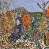 Magpie and morning star 2008