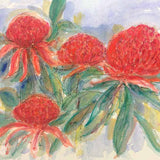 Morning light - waratahs 2014