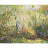 Morning light in spring 2018