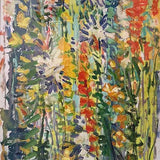 Australian wildflowers I 2025