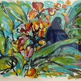 Australian wildflowers XI 2025