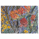 Spearhead lily with waratahs and native hibiscus 2008-23