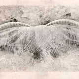 Ghost dance II  N.D.