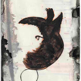 The early days of ornithology #1  N.D.